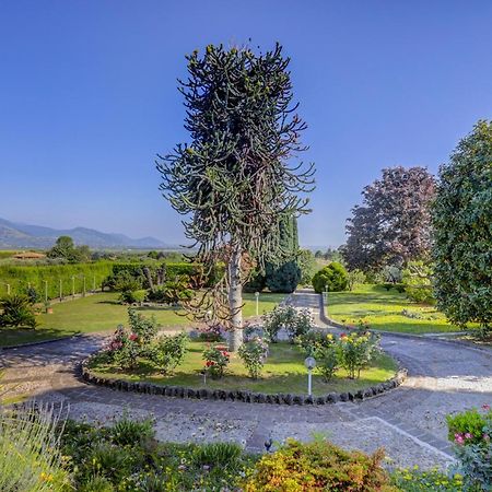 Villa Luce-Casa Vacanza Con Vista Panoramica Mare. Velletri Zewnętrze zdjęcie