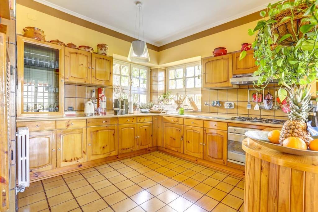 Villa Luce-Casa Vacanza Con Vista Panoramica Mare. Velletri Zewnętrze zdjęcie